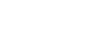 IBM Partner